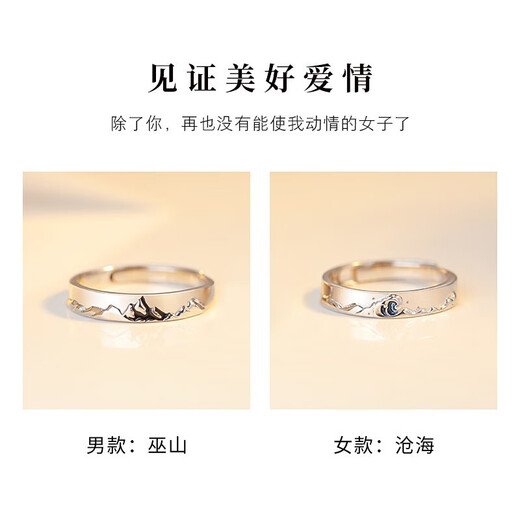MZMZ Platinum Couple Ring Women's Fashion pt950 Platinum Pairing Ring for Engagement, Valentine's Day, Birthday Gift for Girlfriend, Light Luxury Style - Wushan Canghai Pairing Ring