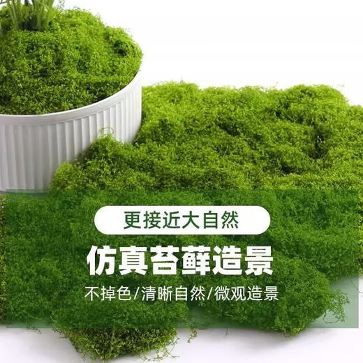 Simulated filamentous moss green micro landscape layout fake lawn fish tank landscaping rockery stone bonsai landscaping pavement light yellow green 70g free 40g