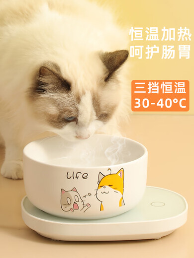 Huamei Chinchilla Konstante Temperaturhitzer Water Schüssel Heizkissen Haustier Hitzespender Coaster Hund Winter Joghurtmaschine Trinkwasser [800 ml] Pink Dialog Miau Keramikschale + Drei Blöcke