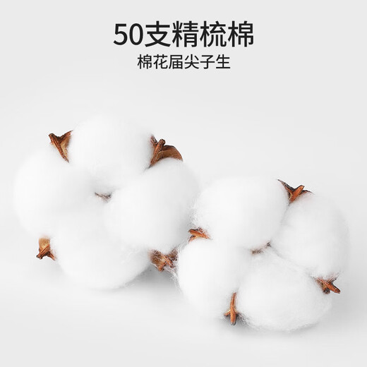 朵朵棉内裤女50S新疆棉山茶花7A抗菌纯棉裆中腰A类女士内裤三角裤