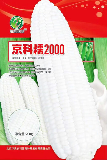 New species in stock original Beijing Academy of Agricultural Sciences Jingke Nuo 2000 waxy corn seeds large stick type sticky corn seeds new species original Jingke Nuo 2000 200g about 750 1 bag