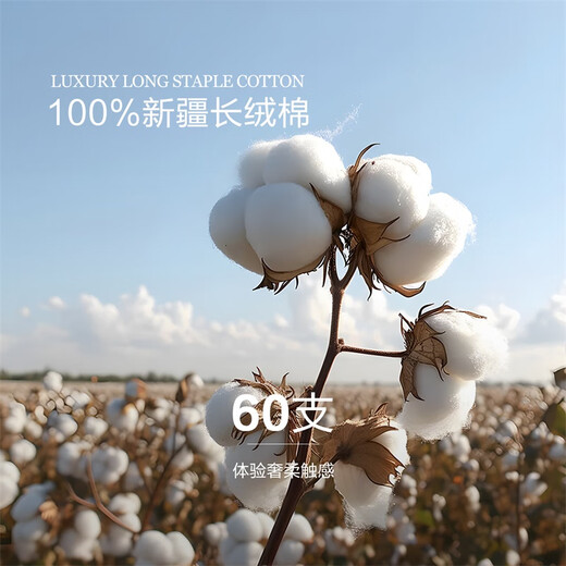 Mercury Home Textiles four-piece set of 60 count long-staple cotton four-piece set of comprehensive pure cotton bed sheets and quilt covers light luxury set bedding 60S long-staple cotton + antibacterial Zhilan Yuqing 1.2m bed recommended with 150*210cm quilt core