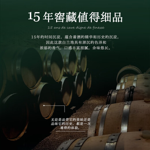 路易马西尼法国进口洋酒XO白兰地40°烈酒（原酒进口）杰森巴顿送礼 双支木盒装 700mL 2瓶
