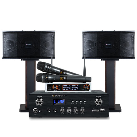 Shanshui (Sansui) 2024 Neues PK09 Professioneller KTV Audio Karaoke Conferen