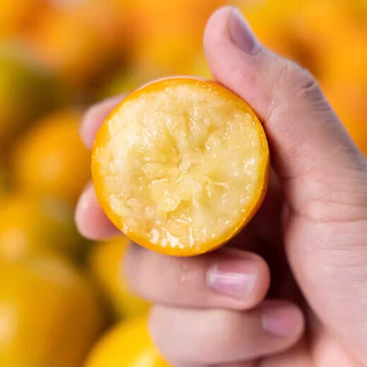 Jingdida Guangxi Rongan Kumquat Three Generations Crisp Honey Kumquat net weight 3Jin Jin is equal to 0.5kg. The single kumquat fruit is about 21g. Straight from the fruit source.