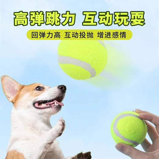 Beiyipin dog toy ball to relieve boredom, pet training, border herding, golden retriever, corgi, bite-resistant, puppy walking, molar rubber tennis ball
