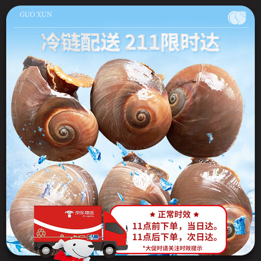 Guoxun extra large cat's eye snail (no ice, no sand) net weight 3Jin Jin is equal to 0.5kg, cooked frozen conch conch screws 13-14 heads/Jin Jin is equal to 0.5kg