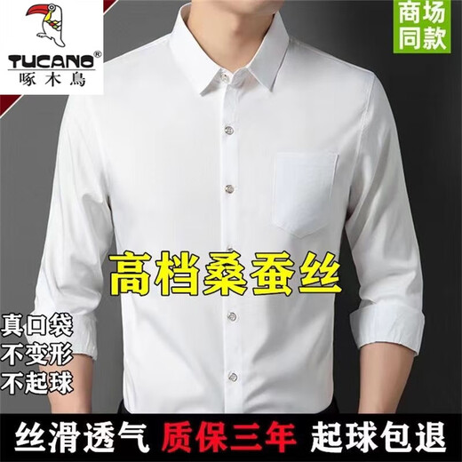 啄木鸟抗皱100桑蚕丝衬衫长袖男2025春秋季薄款弹力真丝免烫衬衣男 孔蓝9901 配色纽扣版 L 170【100-120斤】