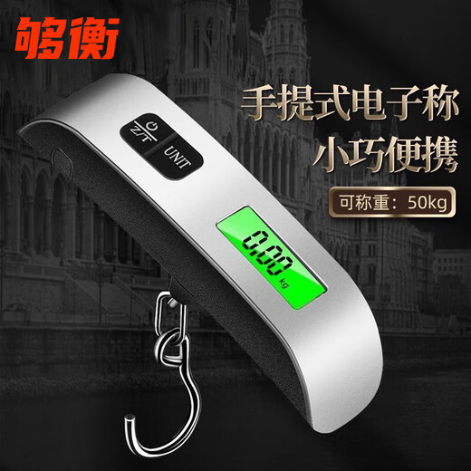 手提秤手提电子秤挂钩秤钓鱼秤行李秤迷你便携式高精度手称小秤快递弹簧秤 不锈钢挂钩可称100斤 织带挂钩100斤【充电款】