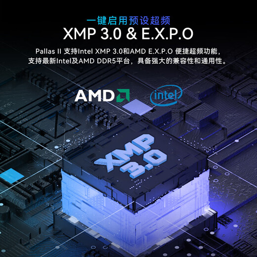 宏碁掠夺者【凌霜】马甲条 DDR4 DDR5 台式机内存条 高频率 684 凌霜-6000-C28-48Gx2-银