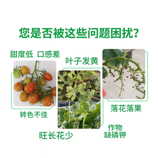 99% flash-soluble potassium dihydrogen phosphate for wheat, peanut, corn, rice, phosphorus and potassium, water-soluble fertilizer, general foliar fertilizer 50g*20 bags