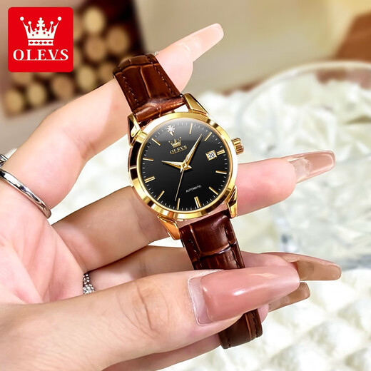Swisss Swisss Swiss Swiss Watches для женщин Механические часы Полностью автоматические простые темпераментные женские часы Light Luxury Belt Women's Watch Olevs-6629 Женские кожаные черные лица с кожаным лицом