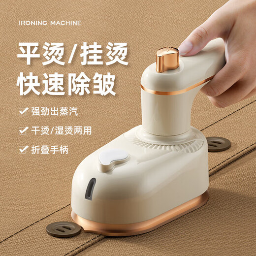 Pang Donglai Handheld Garment Ironing Mechanical and Electric Iron Mini Business Travel Portable Direct Plug Electric Small Green-Flat Garment Ironing Dual-Purpose National Standard