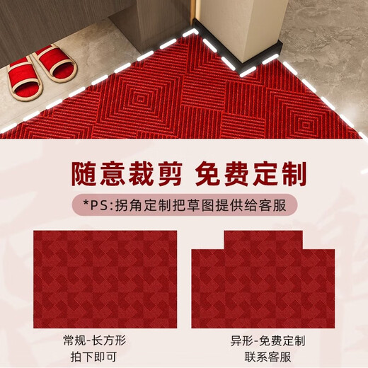 云皎进门地垫入户门垫高级感轻奢新款门2025红色垫子门口耐脏免洗门外 卡特-15618 100x140cm