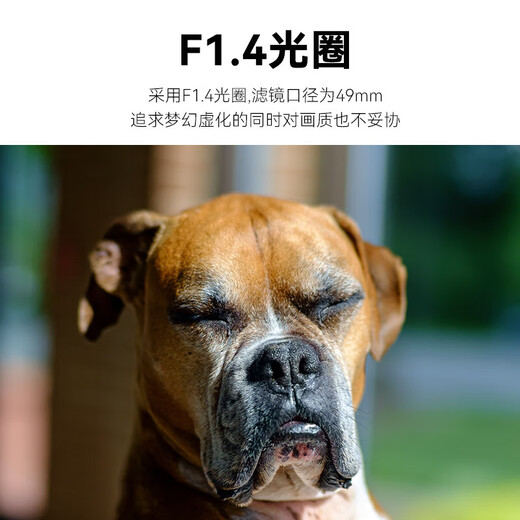 Seven Craftsmen Panasonic Olympus m43 mount fixed focus lens silver 35mm f1.4 portrait half-frame mirrorless camera lens manual large aperture