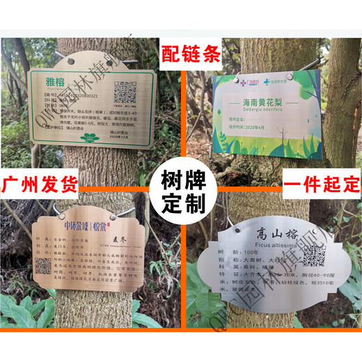 Stainless steel 304 tension spring chain hanging plant Chinese herbal tree brand spring stainless steel spring 20x0.6cm