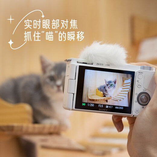 索尼（SONY）【至高24期免息】ZV-E10 zv-e10l 微单数码相机 volg视频美颜相机 ZV-E10L 16-50 黑色套机 含手柄 套餐一 基础套餐 64G卡+699电池礼包