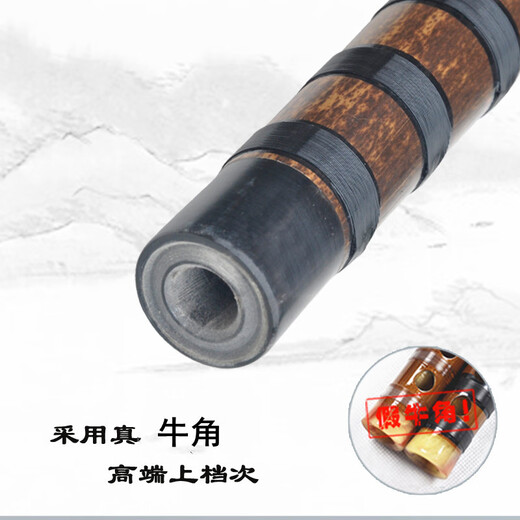 管子先生精品一节紫竹笛子精制专业横笛初学入门考级演奏古风成人儿童女 E调+全套配件