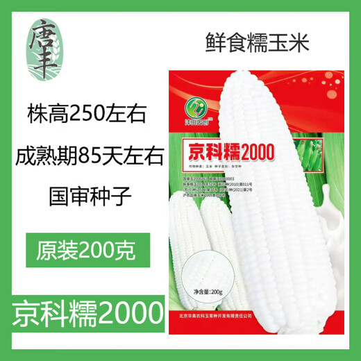 New species in stock original Beijing Academy of Agricultural Sciences Jingke Nuo 2000 waxy corn seeds large stick type sticky corn seeds new species original Jingke Nuo 2000 200g about 750 1 bag