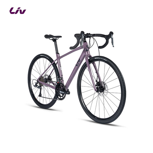 Liv丽以芙Avail AR 4-GC碳纤维前叉碟刹16速舒适女士弯把公路自行车 紫灰色 700C×410MM XS 建议152-163cm