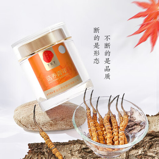 Tongrentang marca liofilizada de hierba rota 20g Cordyceps sinensis Regalos rentables para el Día del Padre Tónicos nutricionales para los ancianos