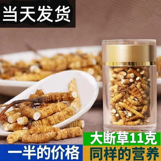 正宗藏曲冬虫夏草虫草断草10克送1克自用家庭装超级断草干货自食 藏区纯肉节大断草20克送2克