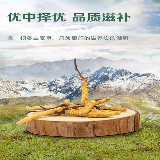 Cordyceps sinensis auténtica caja de regalo Cordyceps con 10 gramos de cordyceps sinensis paquete 50 piezas de ganzi tibetano productos secos Cordyceps Caja de regalo auténtica 3 piezas de cordyceps sinensis un gramo auténtico cordyceps sinensis 10 gramos de genuino cordyceps sinensisisisisisisisisisisisisisisisisisisisisisisisisisisisisisisisisisisisisisisisisisisisisisisisisisisisisisdinensisisisisisisisisisisisisisisisisdissisisisisisisisisisisdes