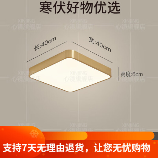全铜户外吸顶灯别墅入户门灯走廊过道阳台灯露台防蚊虫庭 X3893-600*800/长方形
