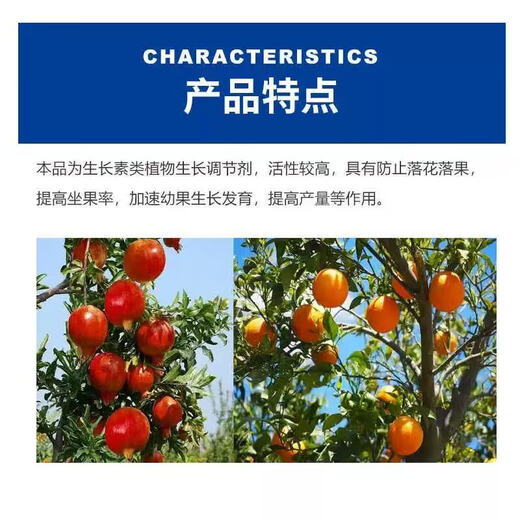 Guoguang Guoguang Beineng 1% sodium p-chlorophenoxyacetate citrus fresh-keeping lychee tomato bayberry growth regulator 200ml