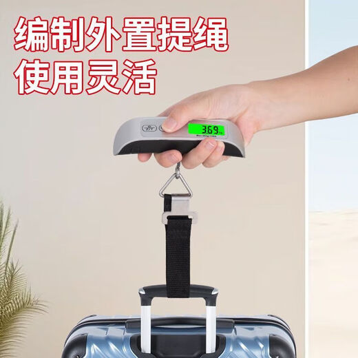 手提秤手提电子秤挂钩秤钓鱼秤行李秤迷你便携式高精度手称小秤快递弹簧秤 不锈钢挂钩可称100斤 织带挂钩100斤【充电款】