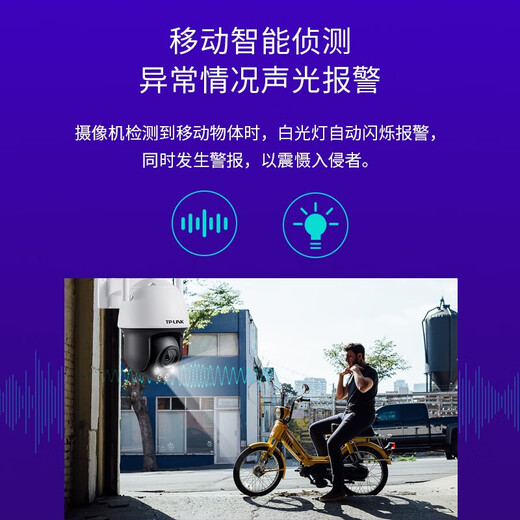 普联（TP-LINK） 双频无线5G WiFi监控摄像头 AI人形车辆识别 360度全彩家用高清室外防水球机 TL-AIPC653-A【500万超清标准版】 标配（不含内存卡）