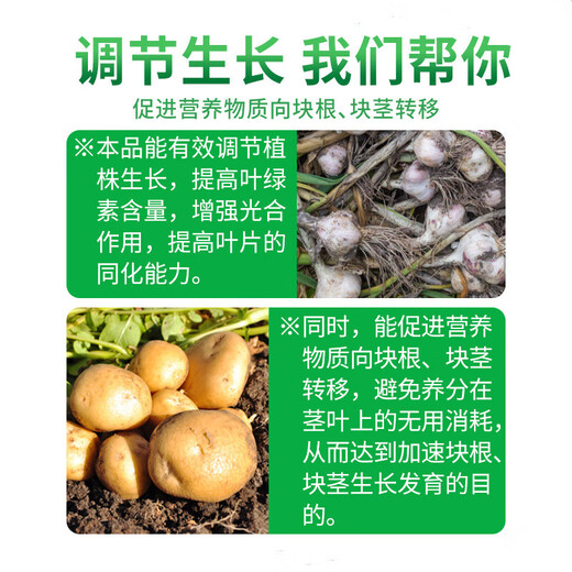 Guoguang Gaopeng 10% methylphenidate, potato, sweet potato, garlic, salvia miltiorrhiza, control pesticide, plant growth regulator 1kg