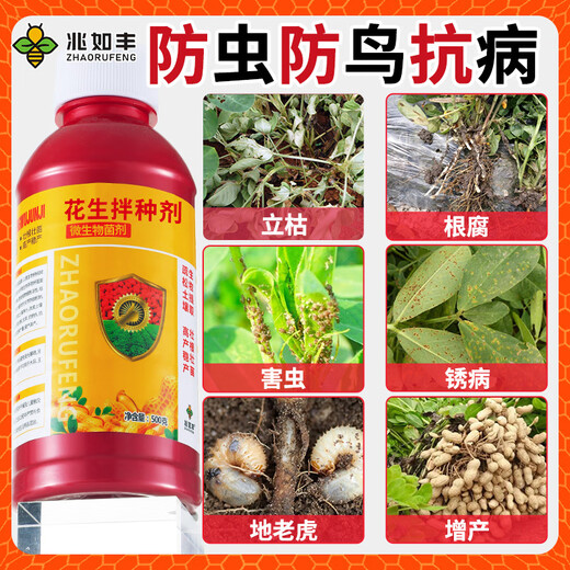 Zhaorufeng peanut seed dressing agent, germination and rooting prevention, insect prevention, disease prevention, antibacterial, high-yield coating agent, microbial inoculant fertilizer, 500g 1 bottle (free 1 package of brassinoids)