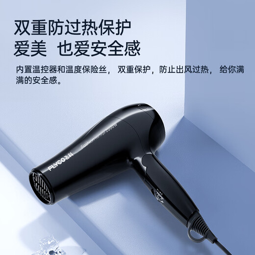 Secador de pelo de flyco para el hogar Aire caliente y fría cuidado de aire frío para el cabello seco de secado rápido 2000W Alta potencia FH6231