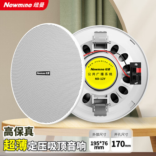 纽曼（Newmine）R19 吸顶音响套装蓝牙定压功放机公共广播家用客厅商用会议店铺背景喇叭嵌入式隐藏吊顶音箱一拖二