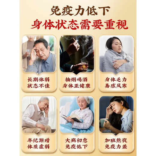 北京同仁堂灵芝孢子粉正宗长白山野生特级 北京同仁堂破壁灵芝孢子粉长白山 【巩固装】实发5盒 60%人的选择