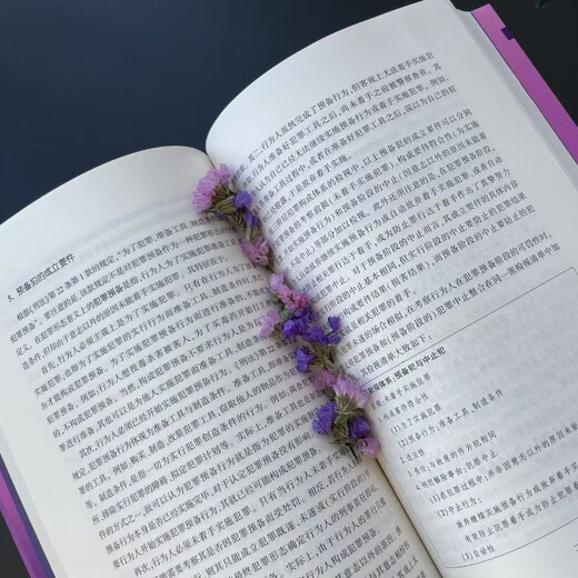 Core knowledge of criminal law and crime theory and hierarchical case analysis