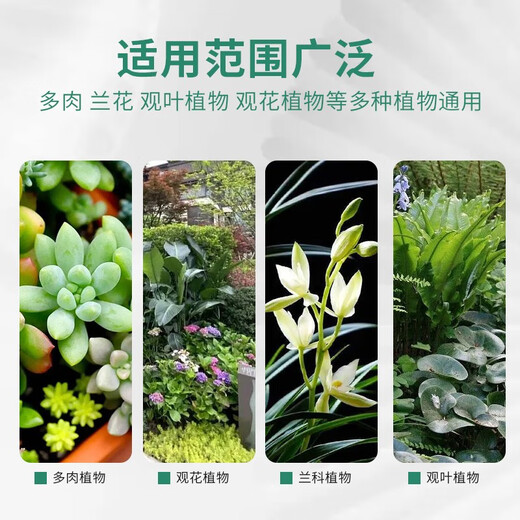 稻壳炭钾肥花用纯草木灰肥料杀虫谷壳碳发酵腐熟砻糠钾肥花用多肉 小颗粒稻壳炭20斤