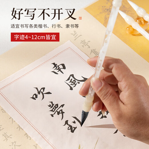 Meilin Penzhuang Xueli Chinese regular script brush and brush calligraphy special beginner medium regular script running script official script professional adult student practice calligraphy Chinese painting calligraphy soft pen medium