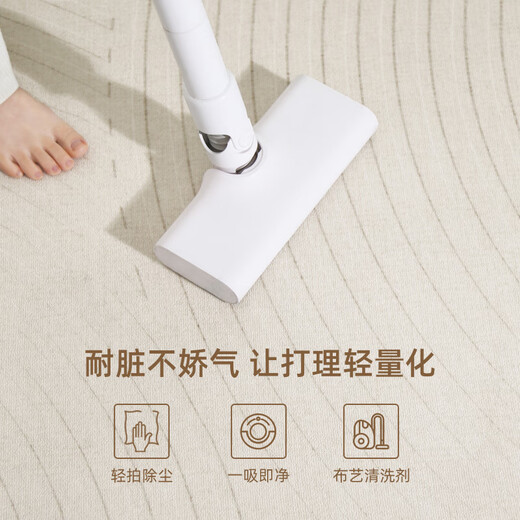 Boyang (Boyang) Tianjin Cuihuangkou Carpet Living Room High-end Free Washable Wipeable Carpet Bedroom 2025 New Sofa Tea Table Carpet Plain Line-15934 180*250cm Clean with just one wipe