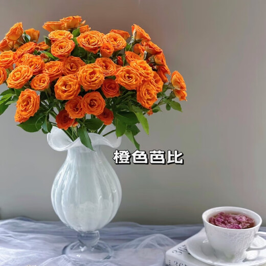 5 small and exquisite multi-headed roses in random colors