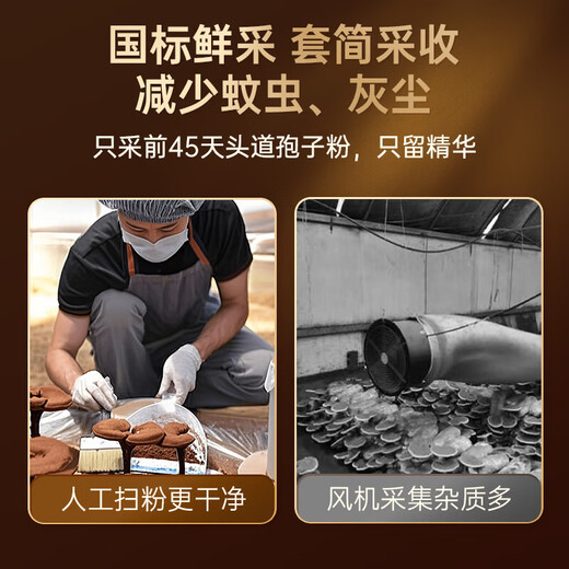 同仁堂破壁灵芝孢子粉礼盒装送长辈成年中老年增强免疫力年货礼品90g/盒 灵芝孢子粉6盒组合装 赠礼袋
