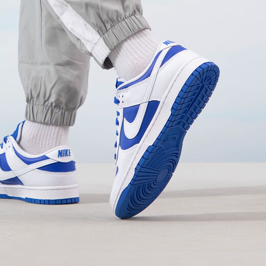 耐克（NIKE）男2025夏季新款透气耐磨休闲鞋低帮缓震运动鞋时尚休闲鞋 DD1391-401 42