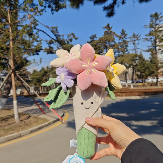 JELLYCAT现货秒发jellycat英国手捧花玩偶毛绒玩具生日结婚情人节女友礼物 手捧花一束+品牌防尘袋+正品现货 京仓现货直发23*31cm