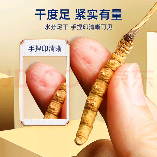 Cordyceps sinensis (SF Express Direct Delivery) Tibetano a gran altitud Cordyceps sinensis Regalo de regalo Atmosférico y de alta gama Nago Cordyceps sinensis 0.6 gramos de 100 piezas Pack 5 piezas