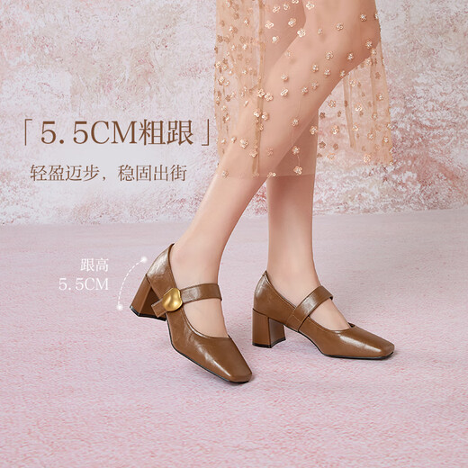 百思图25春复古玛丽珍鞋粗跟方头女单鞋M1509AQ5 棕色 34