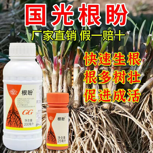 Guoguang Guoguang Genpan Naphthalene Acetic Acid Rooting and Seedling Strengthening Agent Plant Transplanting Rooting Agent with Hair Root Water Cutting Rooting Powder Guoguang Genpan 200mlx1 bottle