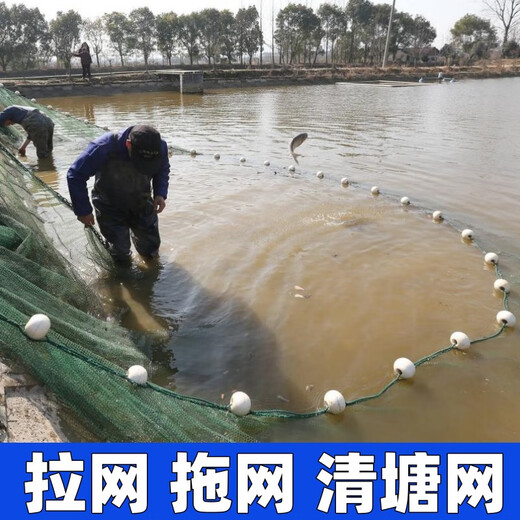 Guangtai drag net, drag net, fish net, fish net, scraper net, hold net, clear the pond, catch big fish, separate net, seine net, fish pond blocking net, 2 meters high, 10 meters long, 2 fingers, 9 strands thick, weighted fall