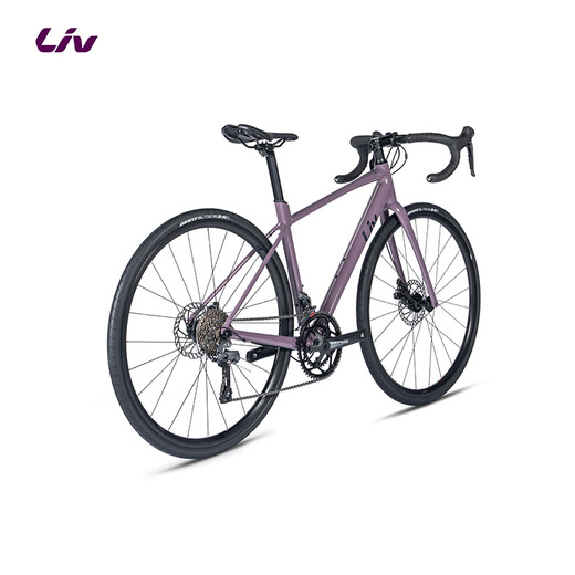 Liv丽以芙Avail AR 4-GC碳纤维前叉碟刹16速舒适女士弯把公路自行车 紫灰色 700C×410MM XS 建议152-163cm