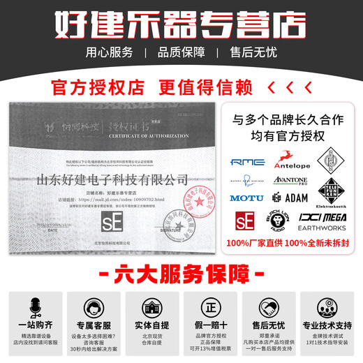 SE Electronics VR1 VR2 Studio Microphone Ribbon Microphone Track Microphone VR1